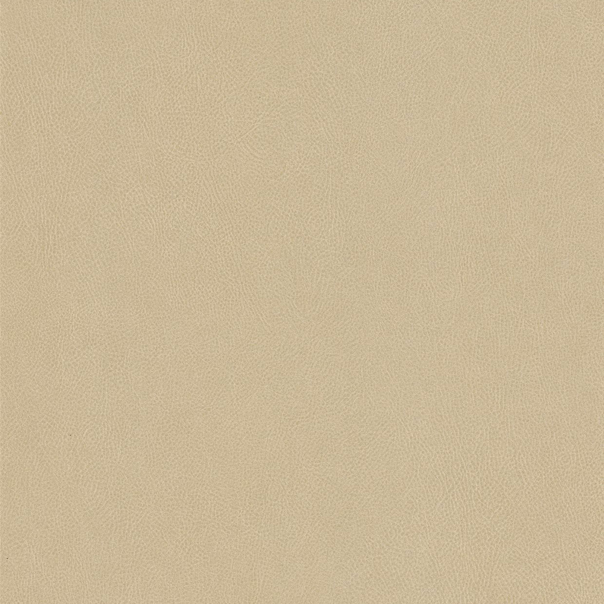Cashmere - NE42